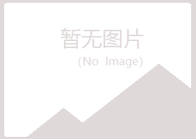 舒城县冰夏采矿有限公司